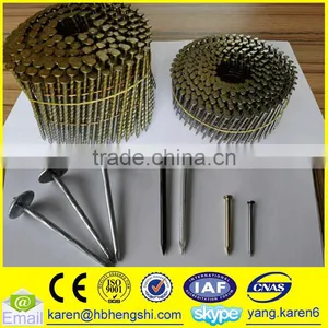Umbrella Head Iron Nails, Galvanized Nails, Iron Nails,coil Nails, Nails Supplier thumbnail-5