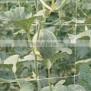 Plant Climbing Net thumbnail-1