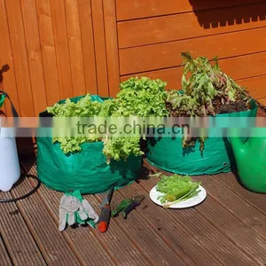 Vegetable Plant Bag thumbnail-1