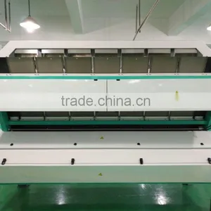 High Capacity Dehydrated Garlic Flakes CCD Color Sorting Machine thumbnail-2