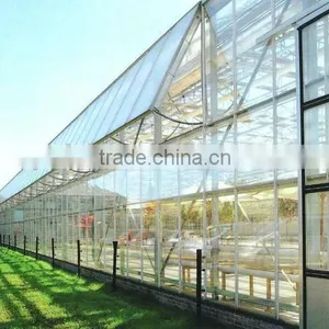 Hot Sale Commerical Glass Greenhouse Shade Green House Design thumbnail-1