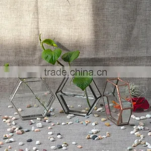 New Design Home Decor Hanging Terrarium Hydroponic Glass Containers thumbnail-2