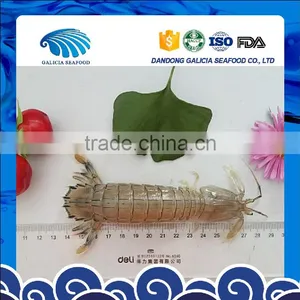 Squilla thumbnail-1