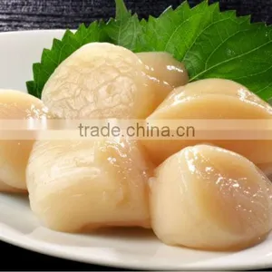 Frozen Scallop Meat (Hotate) - Sashimi Grade thumbnail-1