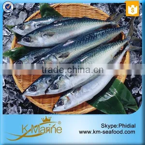 Top Quality Whole Frozen Mackerel For Sale thumbnail-1