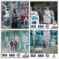Small Capacity Maize Flour Processing Meal Machine thumbnail-2