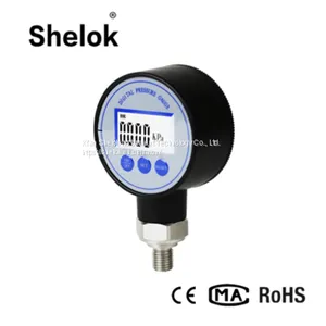 Mini Air Pressure Gauges/Bar Mpa Digital Differential Pressure Gauges thumbnail-4