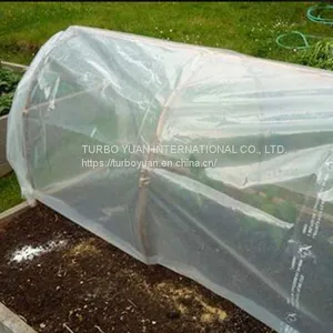 100% Virgin Transparent Tarpaulin Anti Rain Plastic Cover Sheets for Fruit Tree thumbnail-2