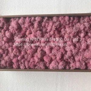 Fresh Touch Decorative Moss for Floral Compositions thumbnail-1