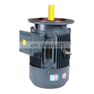 Hot Selling 11kw 2930 Rpm YE2 160M1-2 Three Phase Electric ac Water Pump Motor of China Supplier thumbnail-4