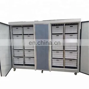 Hydroponic Barley Fodder Bean Sprout Machine for Cattle,rabbit,sheep,horse / Grass Growing Machine thumbnail-1