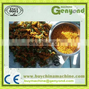 Sea Buckthorn Branch Freezing Machine for the Sea Buckthorn Fruit Processing thumbnail-4