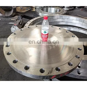 Large Diameter Carbon Steel Pipe Flanges Stainless Steel Threaded Flange thumbnail-5