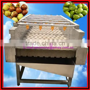 Automatic Brush Date Cleaning Machine|Ginger Washer and Cleaner Machine thumbnail-1