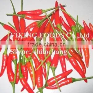 SMALL CHILI HIGH QUALITY FROM VIETNAM thumbnail-3