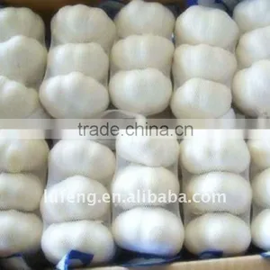 Pure White Garlic thumbnail-1
