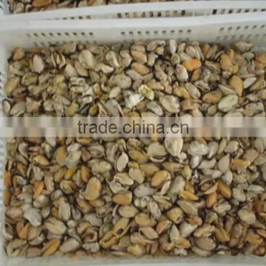 Canned Smoked Mussels thumbnail-6