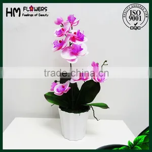 Artificial Phalaenopsis Bonsai for Home Decoration thumbnail-2