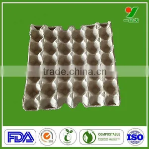 100% Biodegrable and Compostable Making Machine Egg Tray Carton thumbnail-2