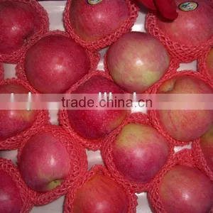 New Qinguan Apple thumbnail-1