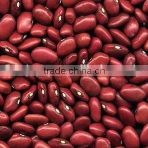 China English Red Kidney Beans for Sale thumbnail-3