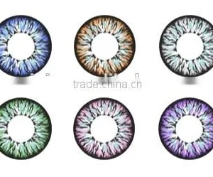 Beauty Eyewear Eclipse Rainbow Elite Contact Lens thumbnail-2