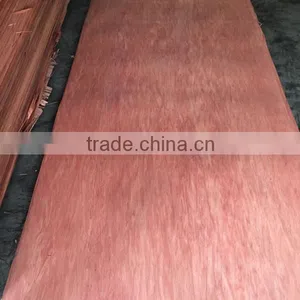 Natural Bintangor Face Veneer for Architectural Panels thumbnail-2