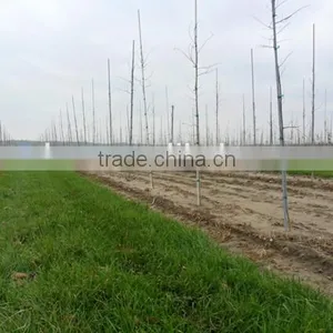 Fiberglass Rod,light Weight Fiberglass Stick FRP Rod,Solid Fiberglass Rod for Plants and Garden thumbnail-3