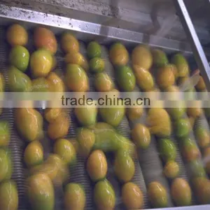 Complete Mango Fruit Processing Line thumbnail-1