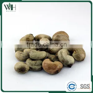 Cambodia Origin Raw Cashew Nuts in Shells thumbnail-1