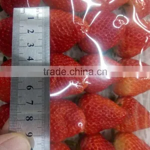 Fresh Strawberry thumbnail-1