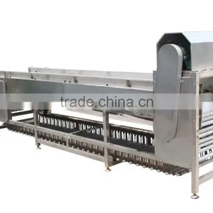 OG-606 CE Qualified Vegetable and Fruit Sorting Machine thumbnail-3