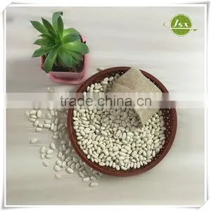 JSX Long Shape White Kidney Beans Food Trade Export thumbnail-4