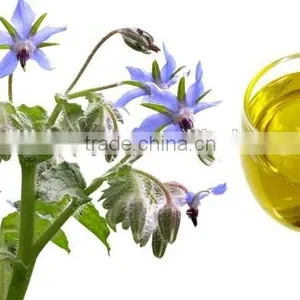 Organic Borage Oil(Omega 3&6 Series) From China,hot Selling Goods Fro Wholesale thumbnail-3