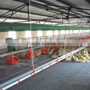 Automatic Poultry Feeding System/Auger Feed System For Poultry thumbnail-2