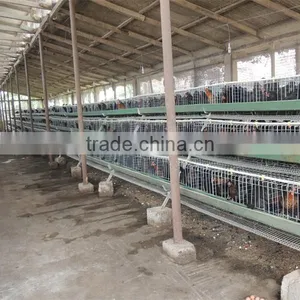 Zimbabwe Poultry Cage Dip Hot Chicken thumbnail-5