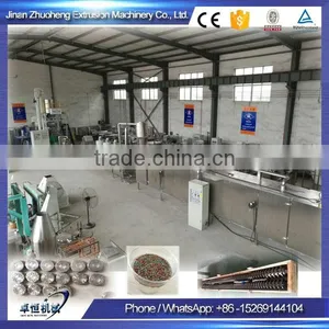 Automatic Twin-screw Corn Flakes Machine/Machinery From Professional Extrusion Manufacture in Jinan thumbnail-5