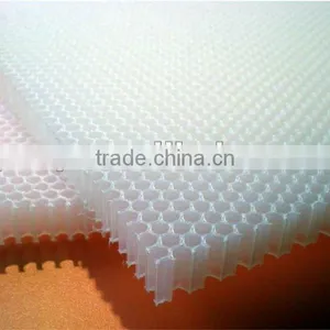 Plastic Honeycomb Board thumbnail-1