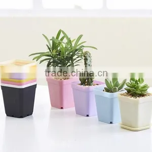 70mm Plastic Square Pot for Succulent Plants thumbnail-2