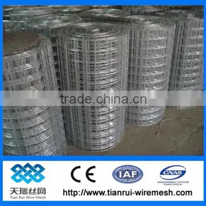 1/4"galvanized Welded Wire Mesh thumbnail-1