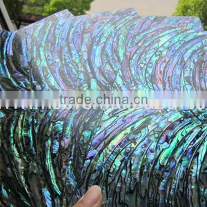Flexible New Zealand Abalone Puau Shell Laminate Paper For Guitar Inlay thumbnail-2
