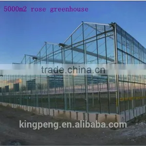Commercial Rose Multi-span Glass Green House for Sale thumbnail-2