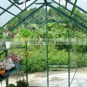 Robinsons Regal Safety Toughened Glass Greenhouse Series thumbnail-2