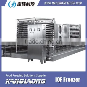 Large Output Blast Chiller Food Made In China thumbnail-4