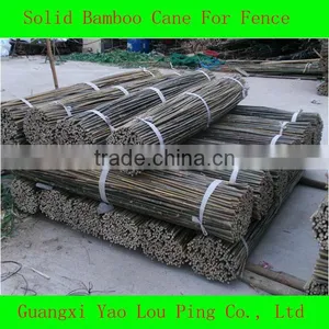 Green Garden Bamboo Canes thumbnail-1