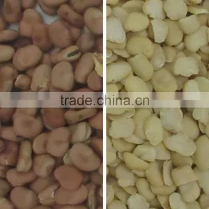 Excellent Quality and Good After-sale Fava Bean CCD Color Sorter Made in China thumbnail-2