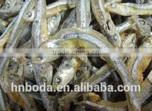 Fish Drying Machine thumbnail-4