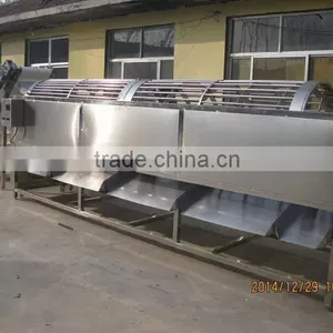 Potato Cherry Date Grading Machine Size Grader Sorter thumbnail-3