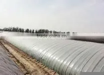 uv Treated Agricultural Film thumbnail-1