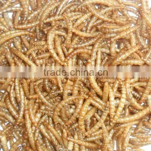 100% Natural Aquarium Fish Food Mealworms(2.8cm) thumbnail-1